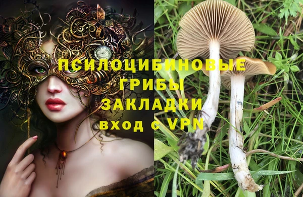 спайс Аркадак