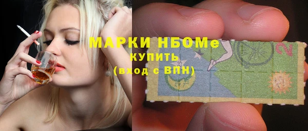 прущие грибы Армянск