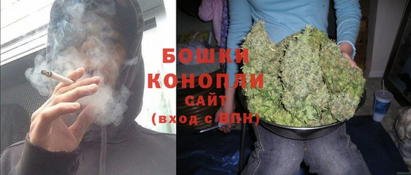 прущие грибы Армянск