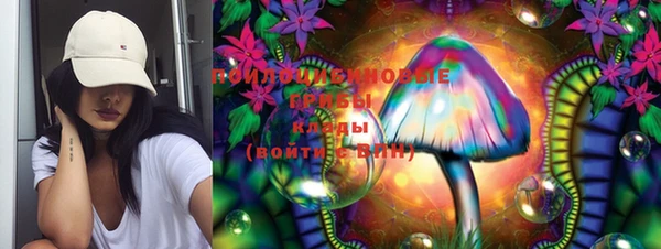 прущие грибы Армянск