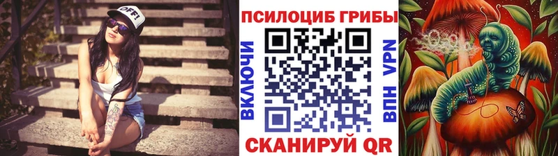 Псилоцибиновые грибы Magic Shrooms  Райчихинск 